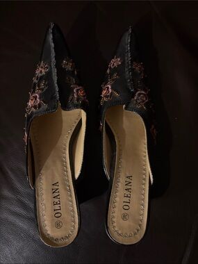 Oleana Black Embroidered Pointed Mule